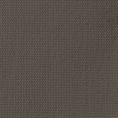 Olefin Taupe sample