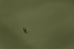 Image to render