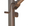 Image to render